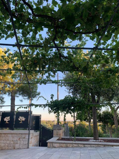 Maison Dei Trulli Διαμέρισμα Locorotondo Εξωτερικό φωτογραφία