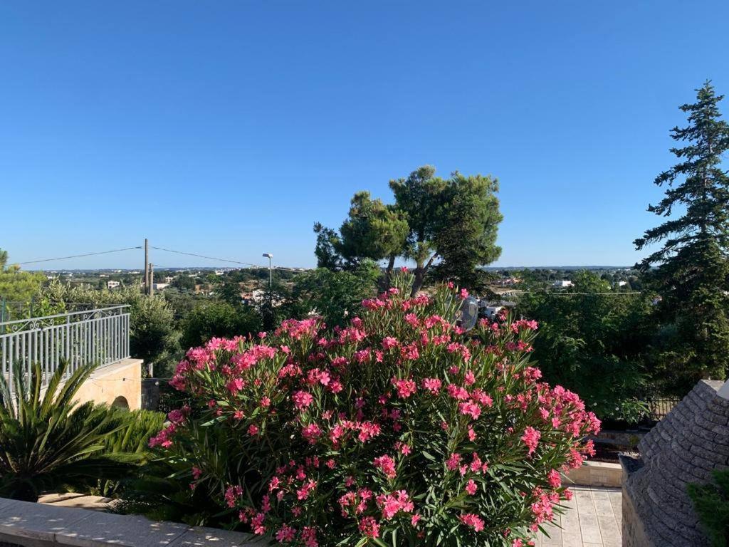 Maison Dei Trulli Διαμέρισμα Locorotondo Εξωτερικό φωτογραφία