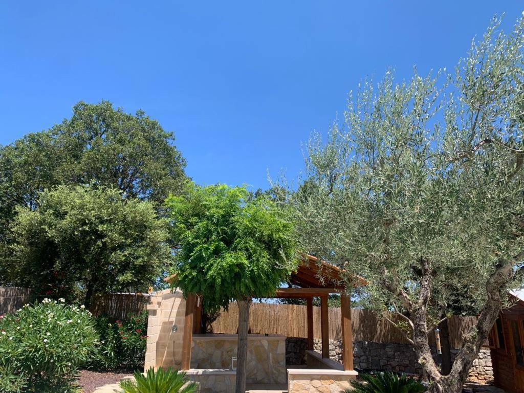 Maison Dei Trulli Διαμέρισμα Locorotondo Εξωτερικό φωτογραφία