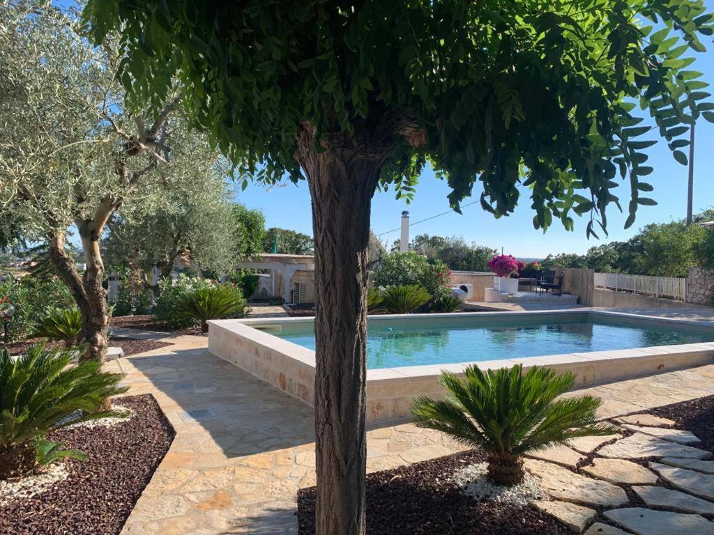 Maison Dei Trulli Διαμέρισμα Locorotondo Εξωτερικό φωτογραφία